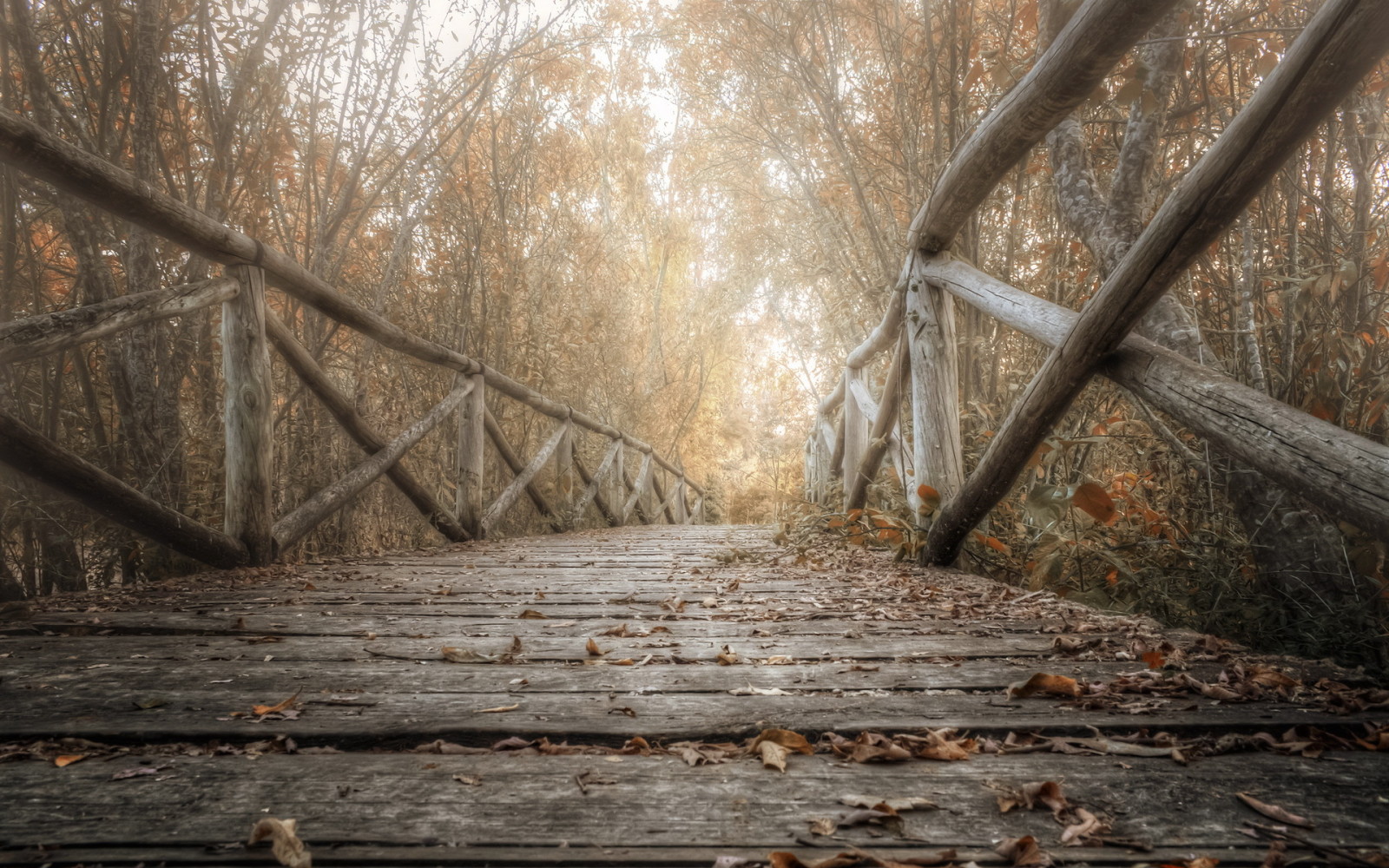 秋季, 自然, 树叶, 桥