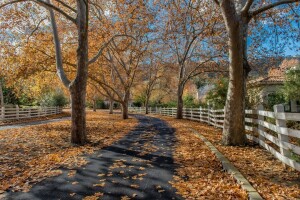 秋, 家, 葉, 自然, 道路, フェンス, 木