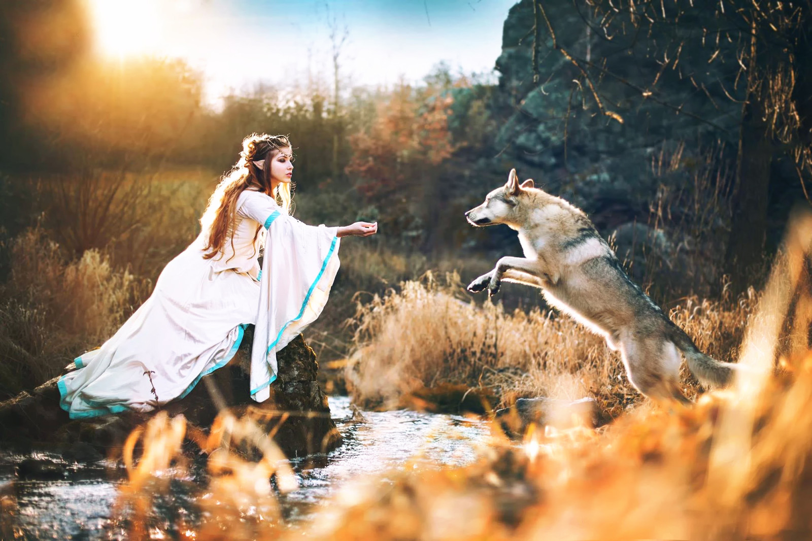 Peri, serigala, Serigala dengan putri elf