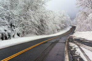 jalan, salju, musim dingin