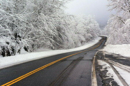 道路, 雪, 冬