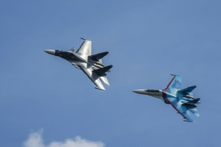 ファイターズ, フライト, Su-27, Su-30