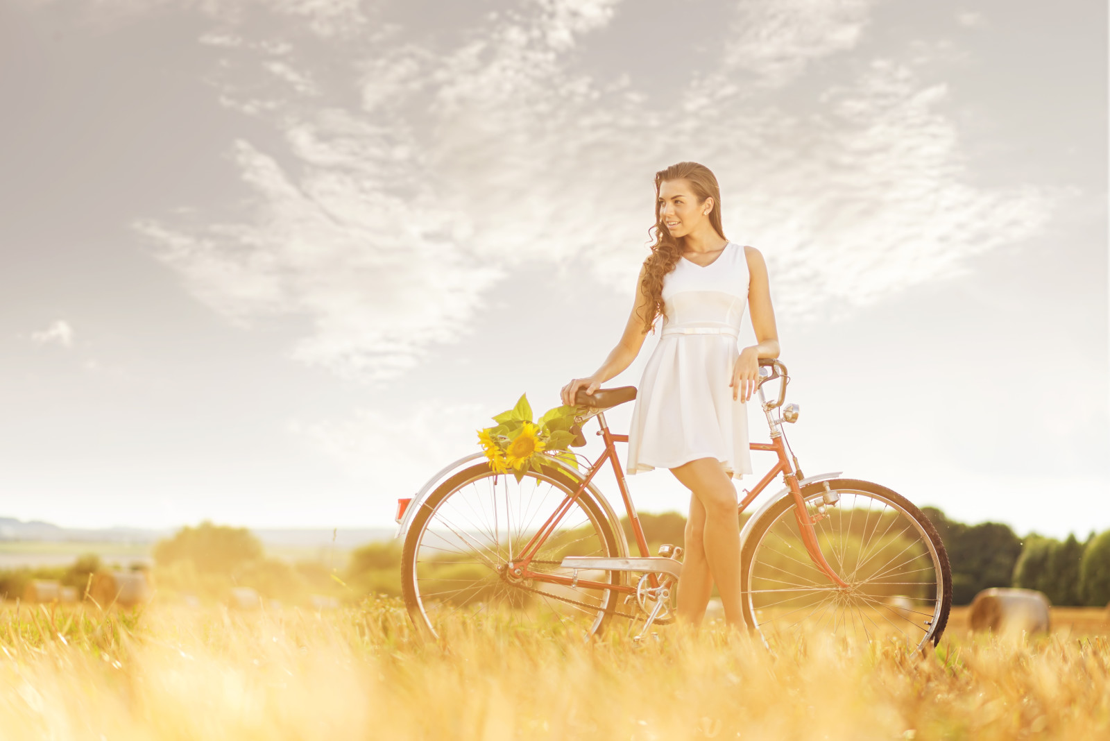 gadis, bidang, sepeda, bunga matahari, jerami