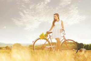 自転車, フィールド, 女の子, 干し草, ひまわり