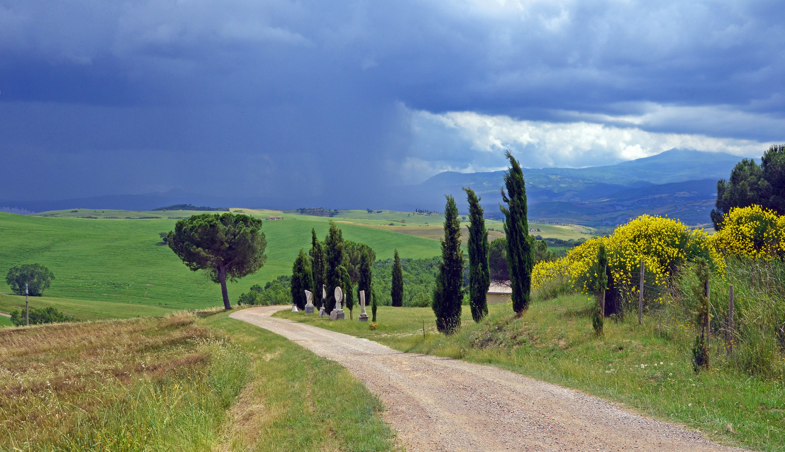 jalan, bidang, bunga-bunga, awan, Italia, hujan, tanah pertanian, Tuscany