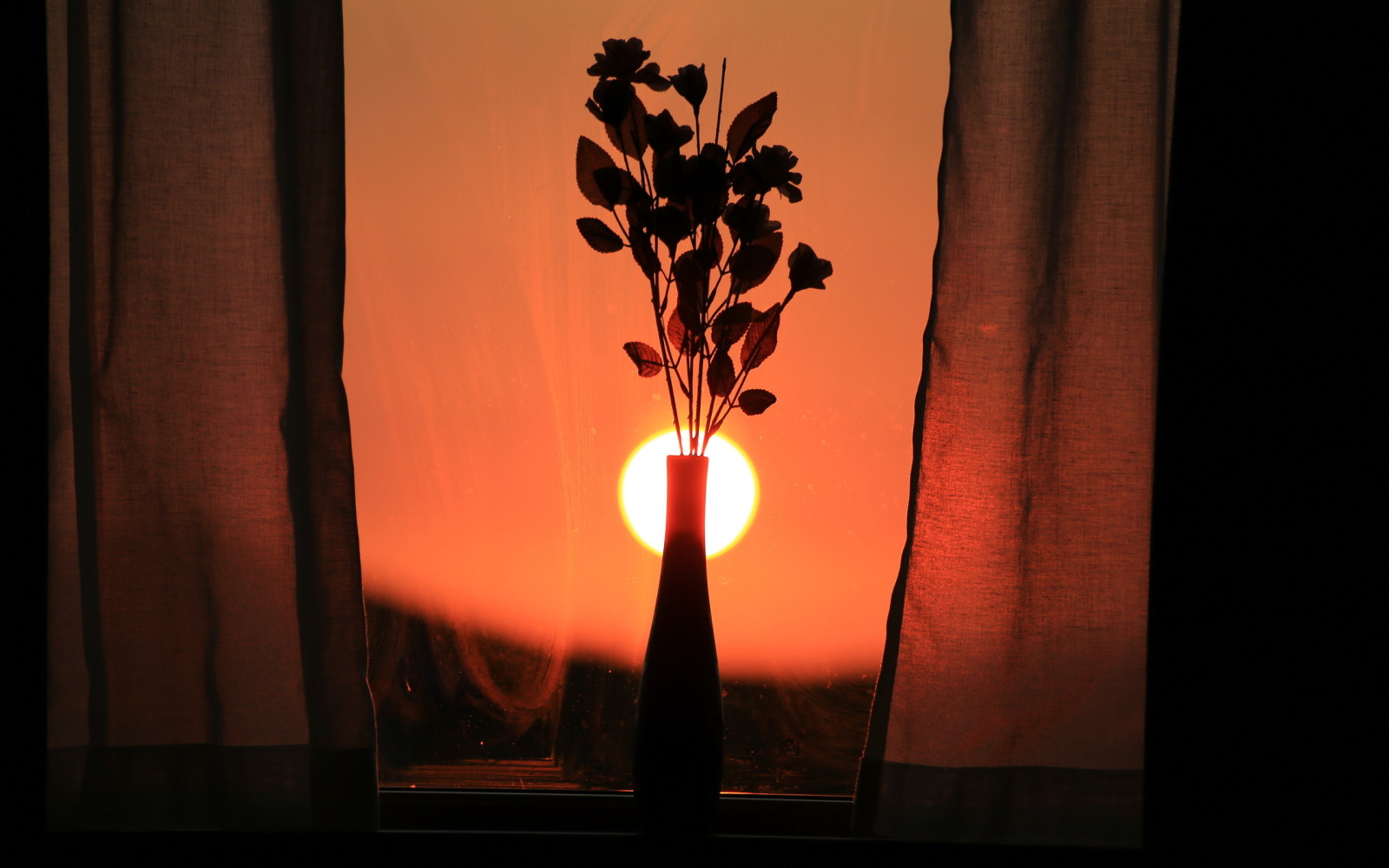 matahari terbenam, bunga-bunga, jendela