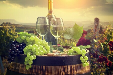 たる, ブドウの房, 眼鏡, ワイン