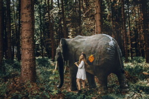 코끼리, 숲, 소녀