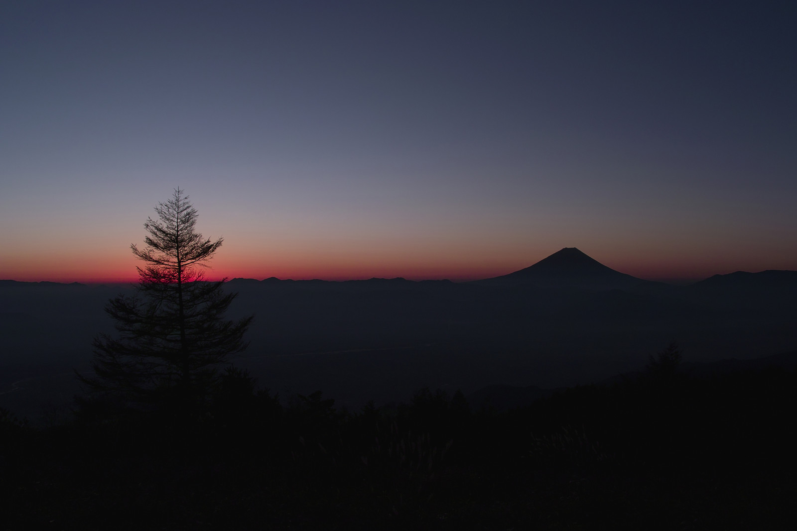 木, 空, 山, 日本, グロー, 地平線, 富士山