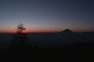 富士山, グロー, 地平線, 日本, 山, 空, 木