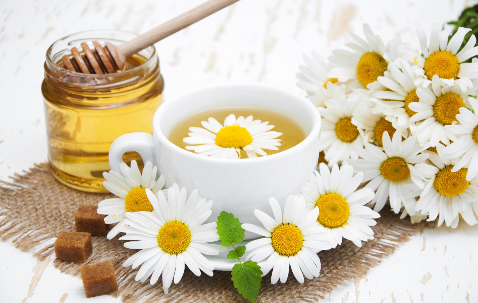 những bông hoa, Hoa cúc, mật ong, trà thơm