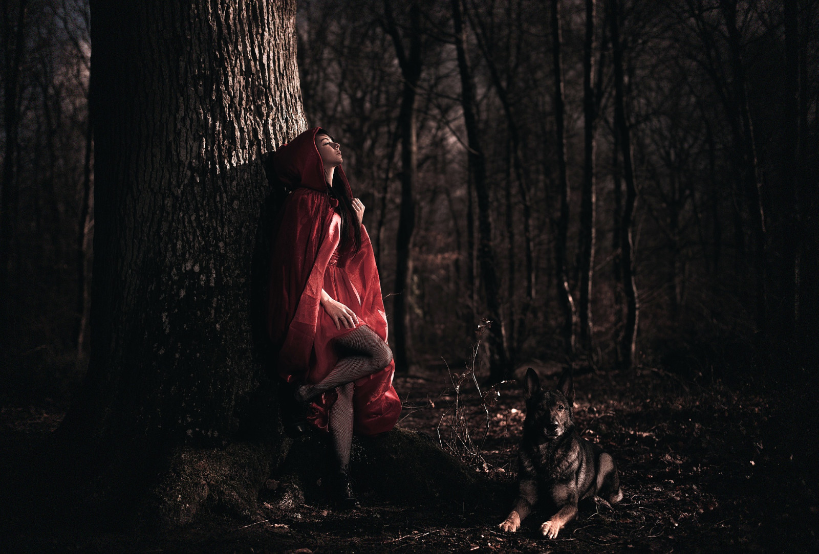 hutan, anjing, gadis, jubah, Laurent KC, Arya