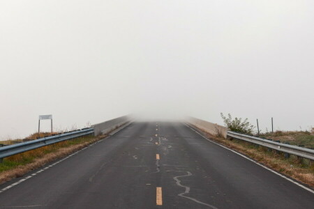 kabut, pemandangan, jalan