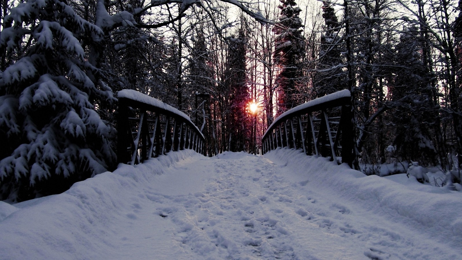 salju, hutan, jalan, pohon, Jembatan