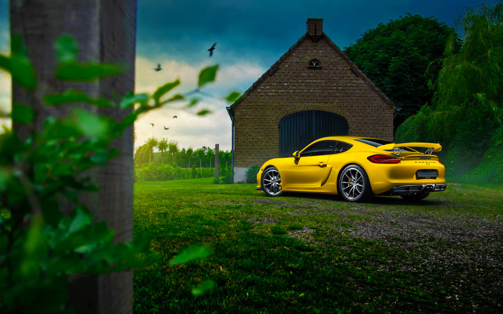 ธรรมชาติ, ฤดูร้อน, สีเหลือง, รถยนต์, สี, ปอร์เช่, ด้านหลัง, GT4