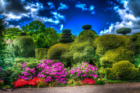 구름, 디자인, 영국, 꽃들, 공원, 타튼 파크, 덤불, 하늘