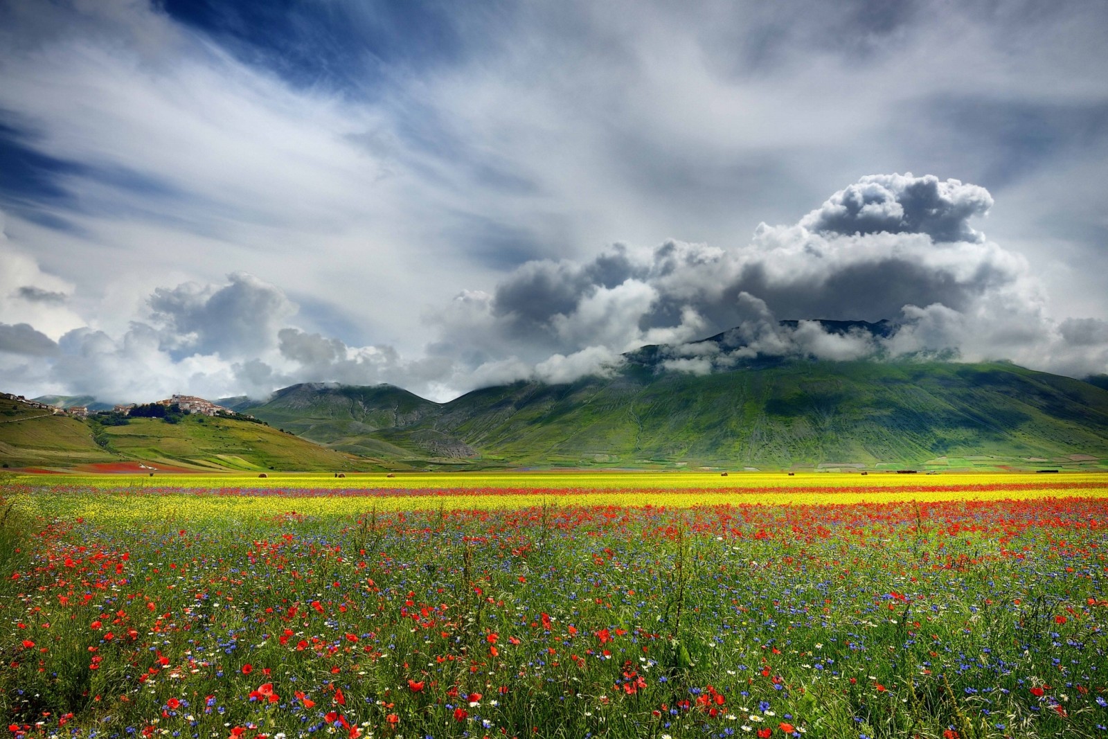 Thiên nhiên, cánh đồng, những bông hoa, những đám mây, núi, thung lũng, trơn