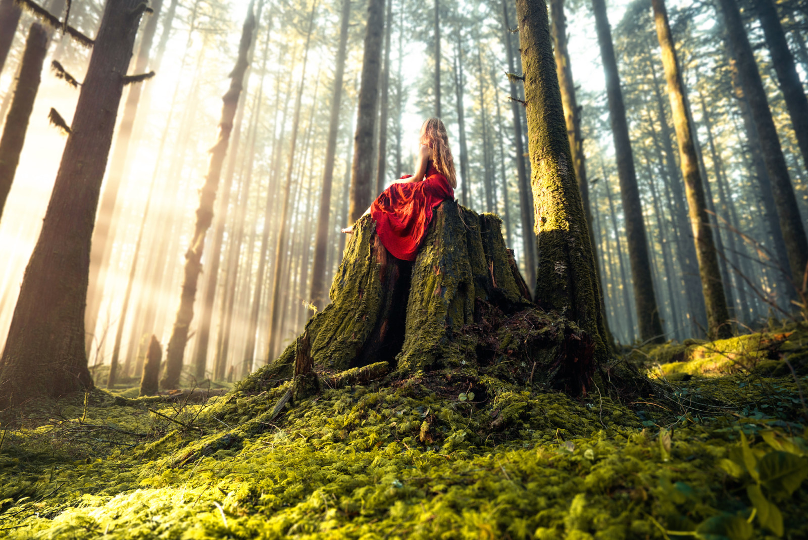 森林, 女孩, 连衣裙, 丽兹·加德, 林地魔术