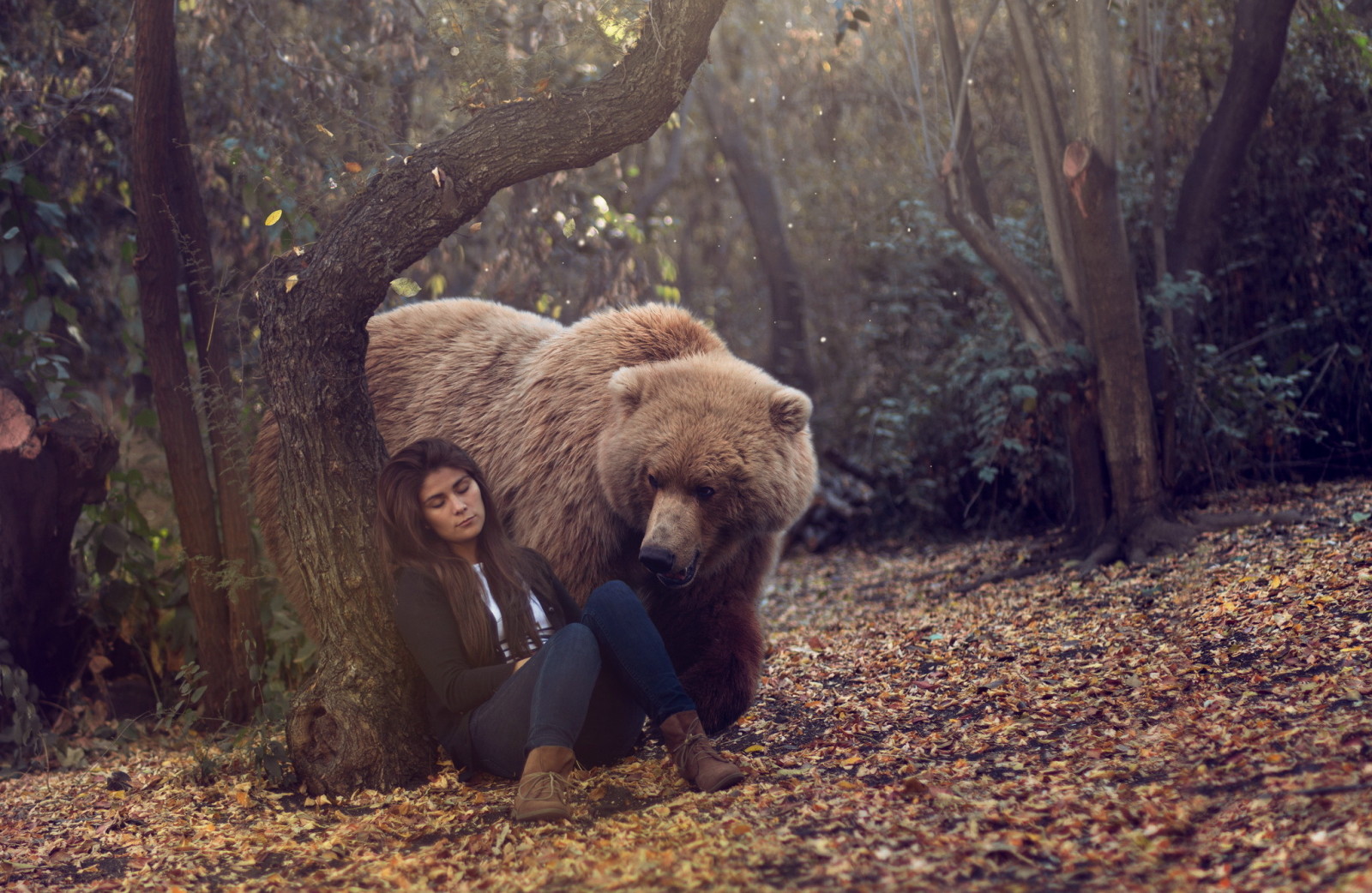 숲, 소녀, 곰