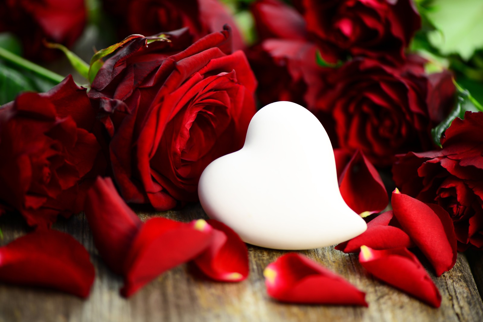 ความรัก, โรแมนติก, วันวาเลนไทน์, ดอกกุหลาบ, หัวใจ