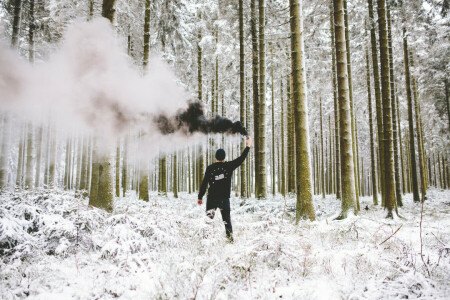 黒, 森林, 男性, 煙, 雪, 冬