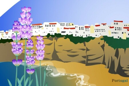국가, 꽃들, 포르투갈, 바위, 바다, 도시, 관광 여행, 여행