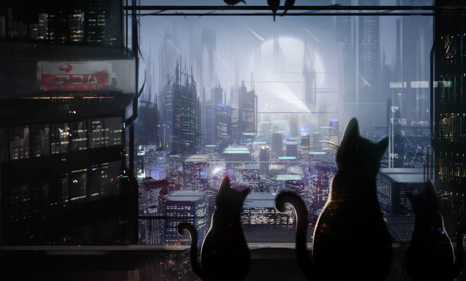 thành phố, đêm, những con mèo, Động vật có vú