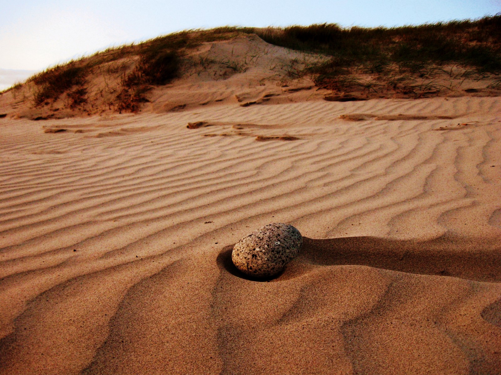 cỏ, bầu trời, cát, cục đá, cồn cát