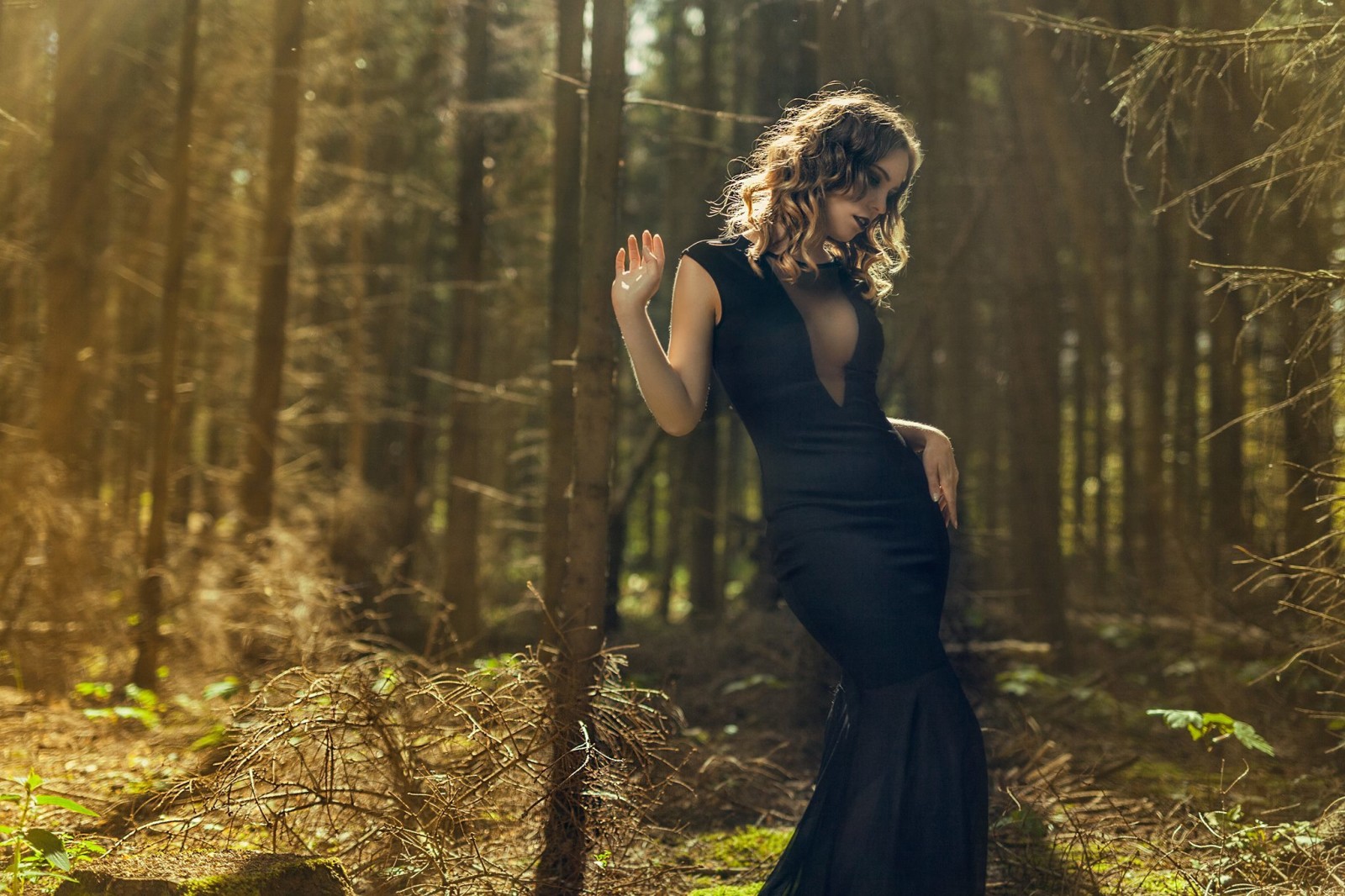 森林, 黑色, 女孩, 模型, 连衣裙, 内森摄影, 汤尼·乔根森, 安妮·莱萨（Anne Lysa）