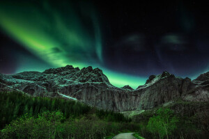 산, 밤, 북극광, 노르웨이, 도로, 나무