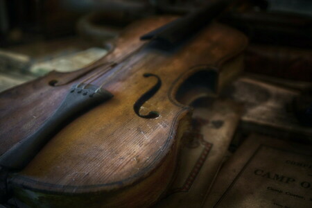 大きい, 音楽, バイオリン