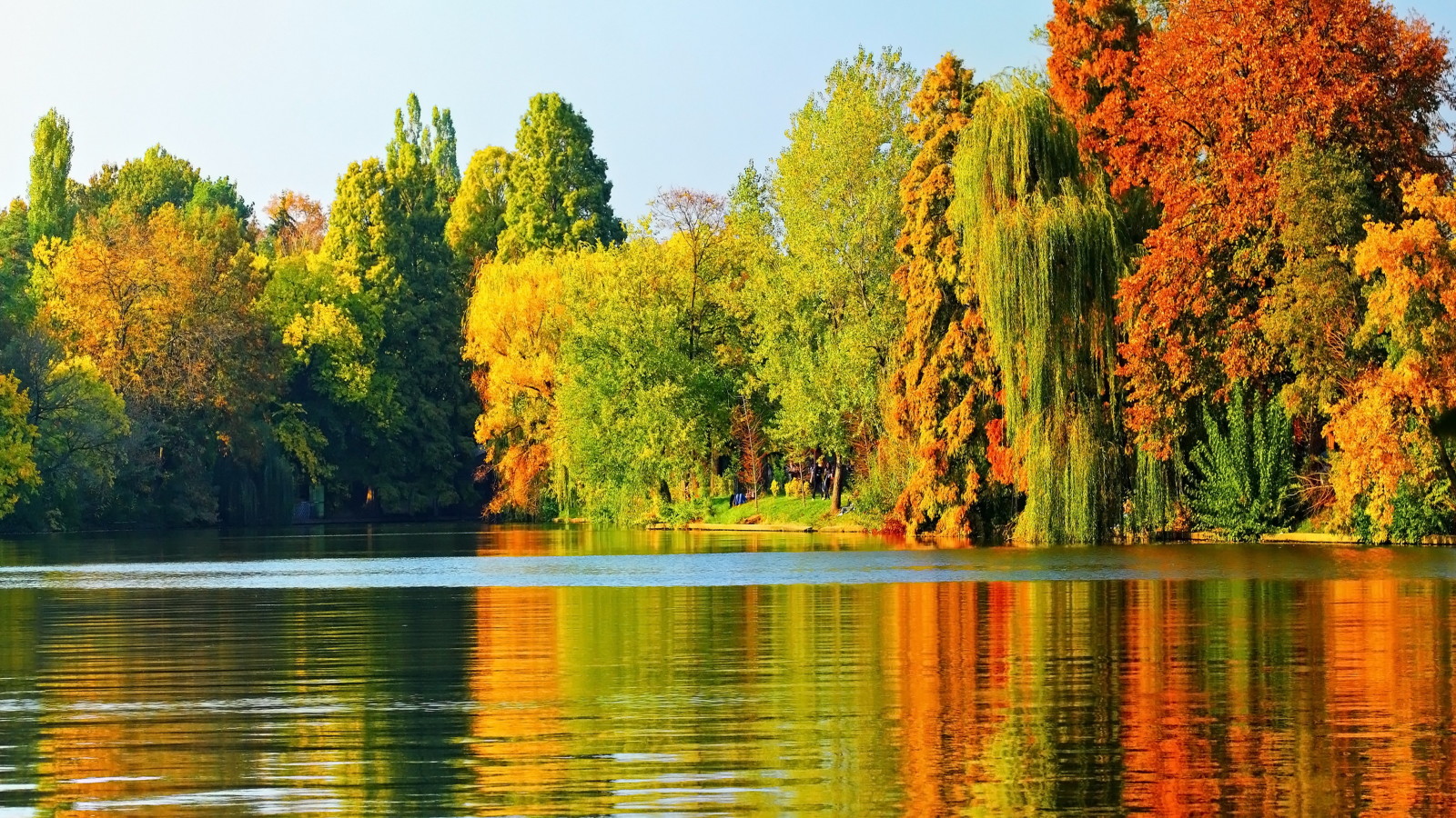 树, 秋季, 自然, 湖, 景观, 树木, 树叶