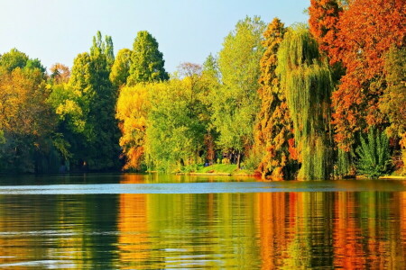 가을, 호수, 경치, 이파리, 자연, 나무, 나무