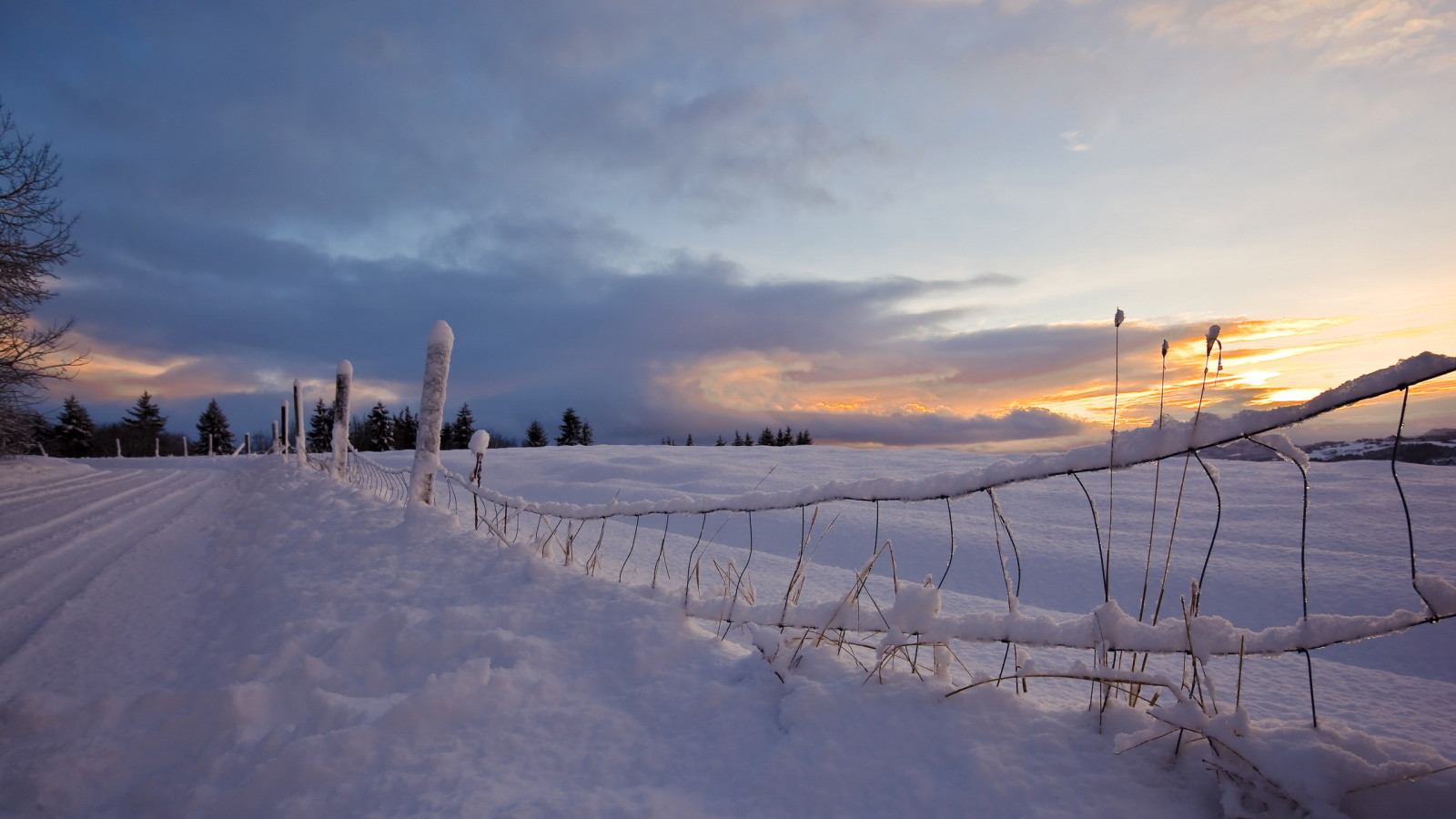 雪, 日落, 路, 栅栏