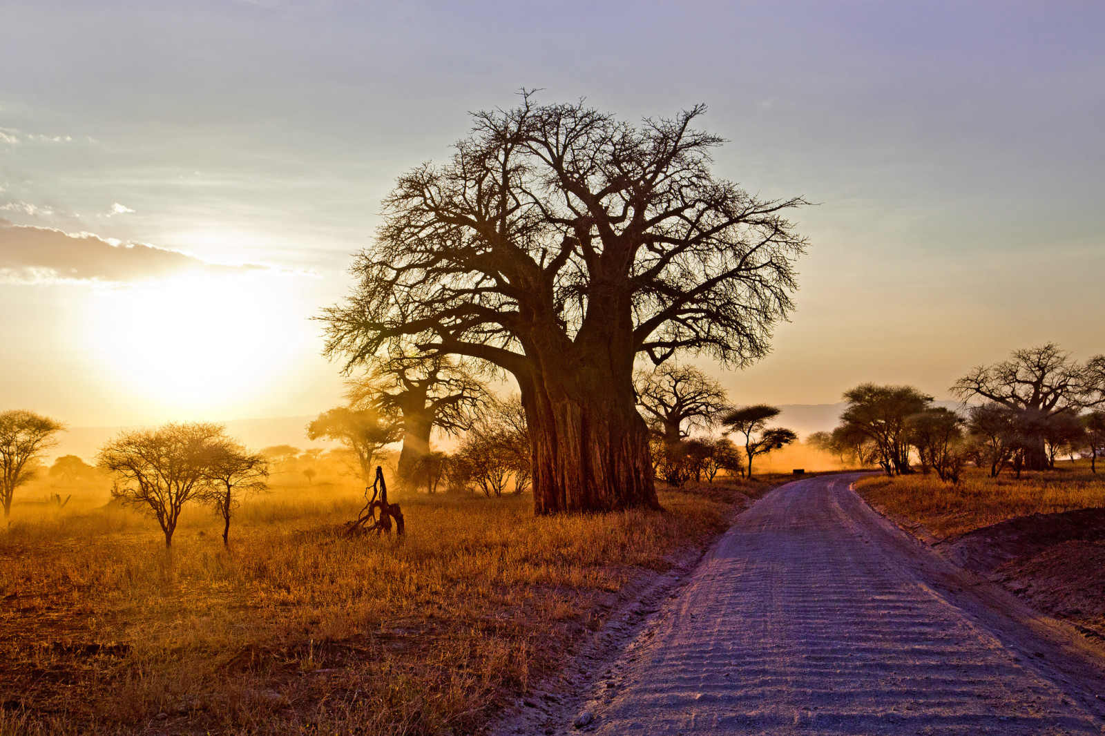 pemandangan, jalan, pagi, Afrika