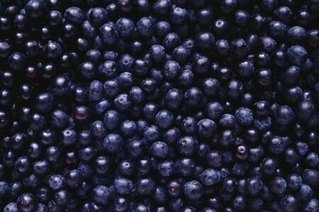 很多, 浆果, 黑色, 蓝莓
