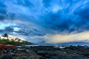 하와이, 자연, 야자수, 폭풍, 바다