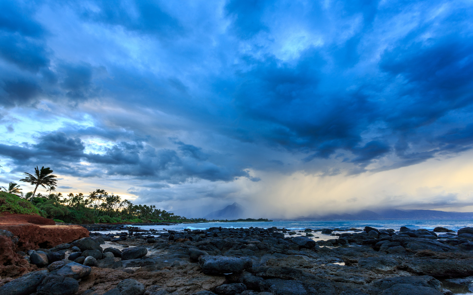 自然, 海, 嵐, ヤシの木, ハワイ