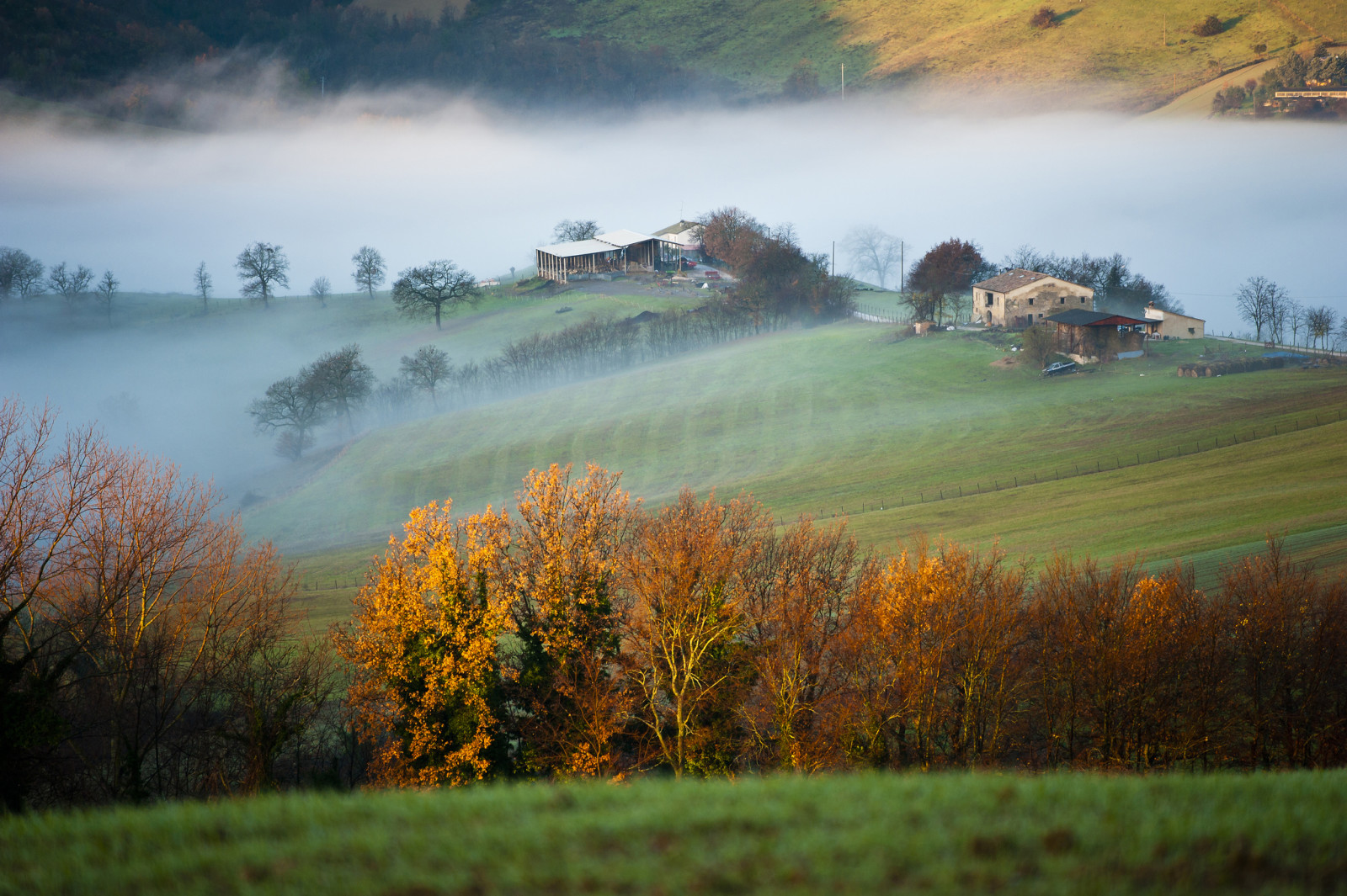 nhà ở, cây, cánh đồng, buổi sáng, núi, Nước Ý, sương mù