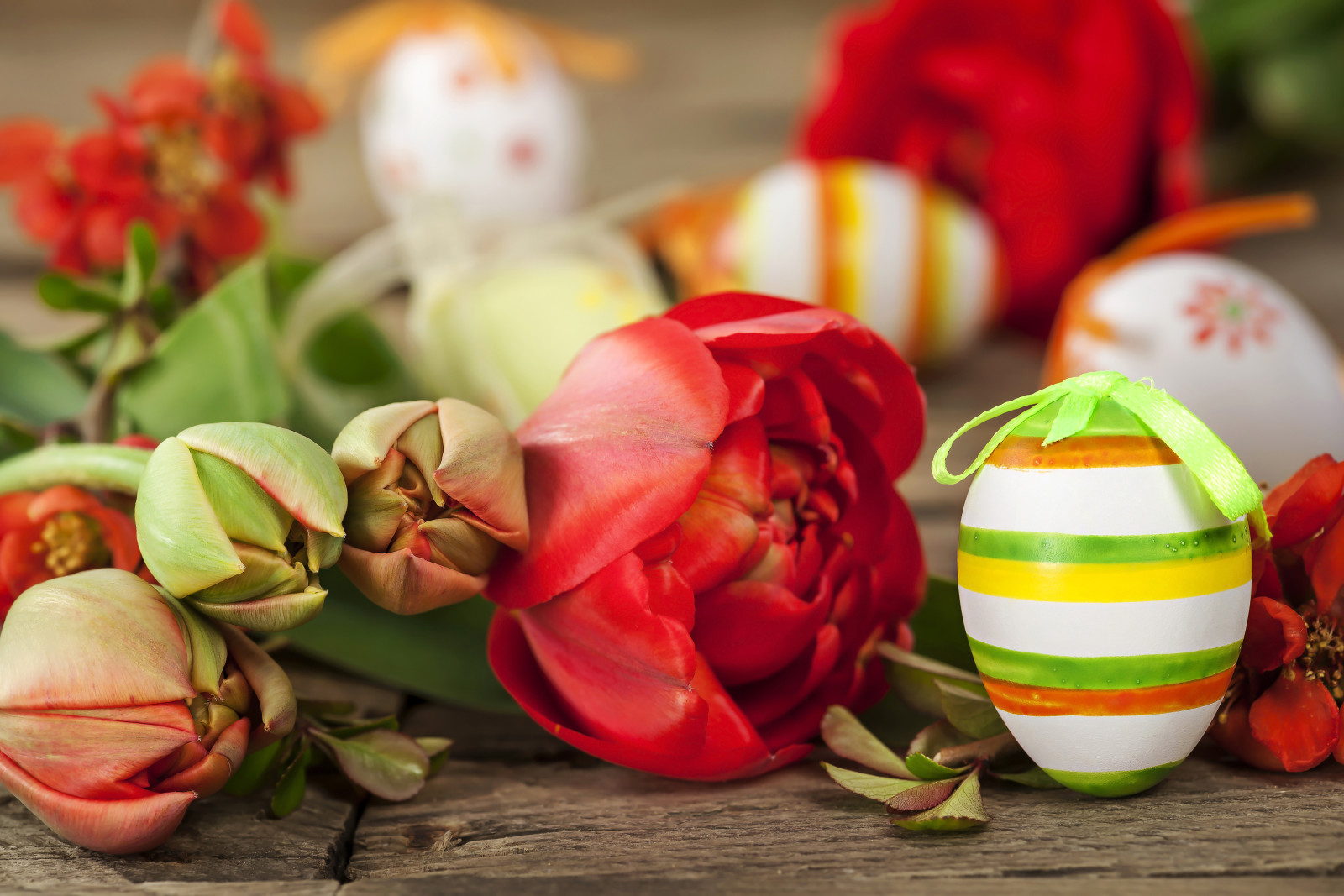 假日, 蛋, 花卉, 郁金香, 板, 复活节