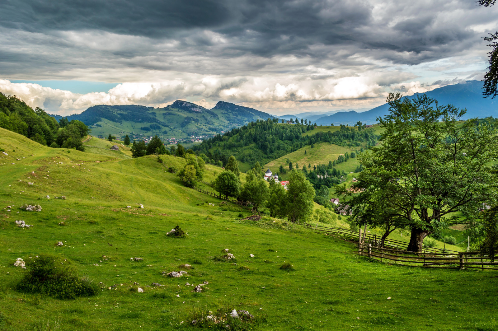 cỏ, cây, rau xanh, cánh đồng, những đám mây, núi, Rumani, đồng cỏ