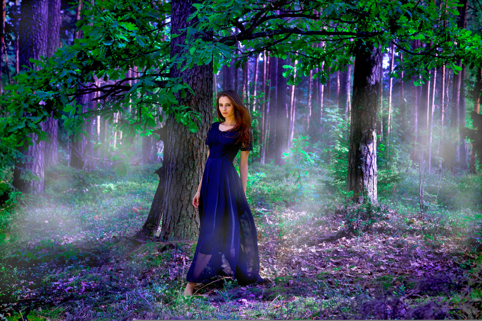 木, 模型, 树叶, 紫色, 连衣裙, 纳斯蒂亚, 神秘