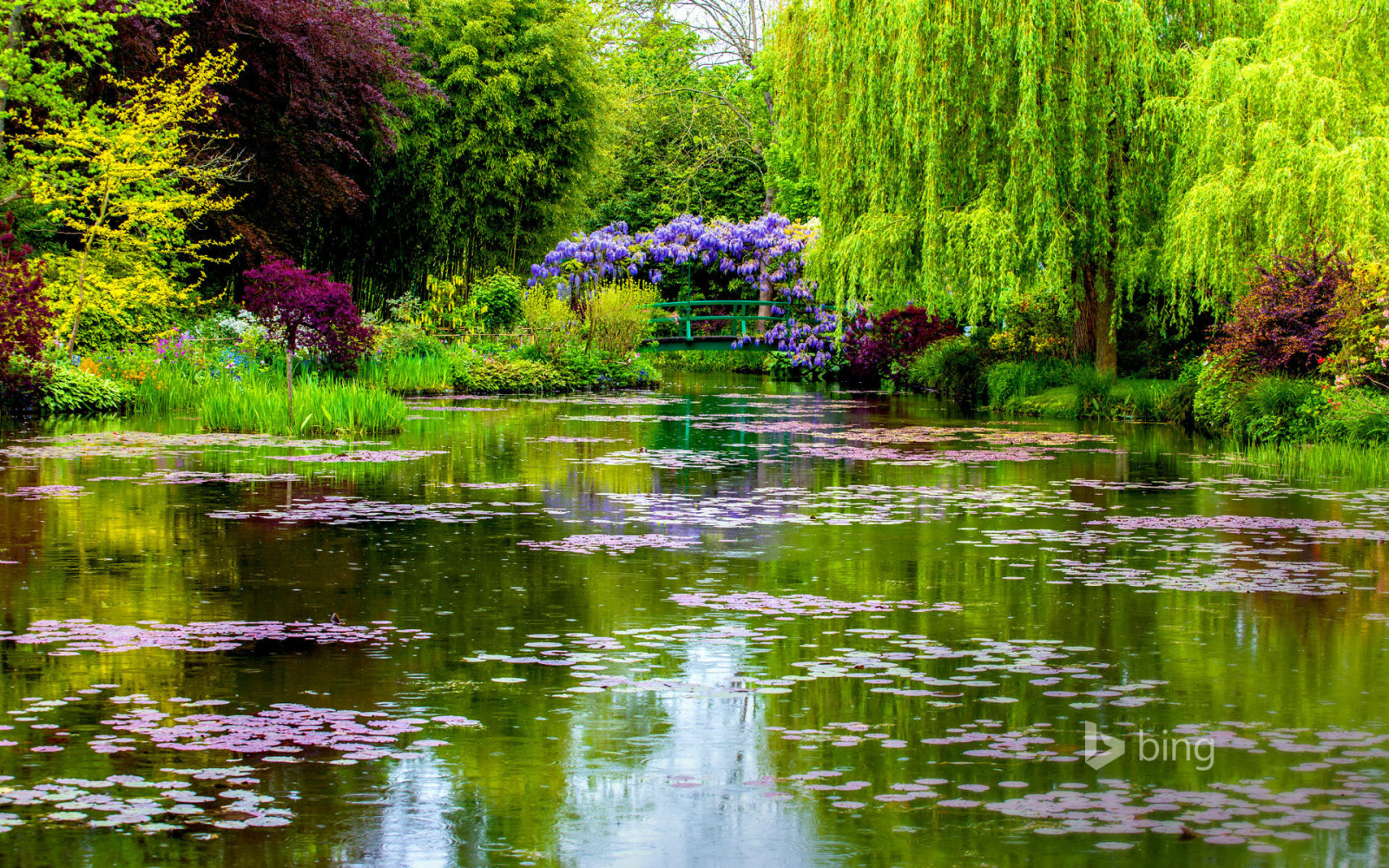 弹簧, 法国, 桥, 池塘, 诺曼底, 吉维尼, 莫奈的花园