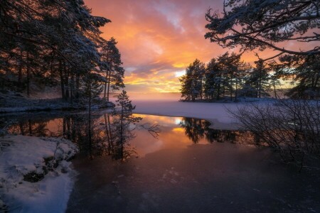 湖, ノルウェー, 反射, リンゲリケ, 日没, 木