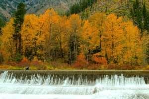 秋, 森林, 川, ストリーム, しきい値, 木, 滝