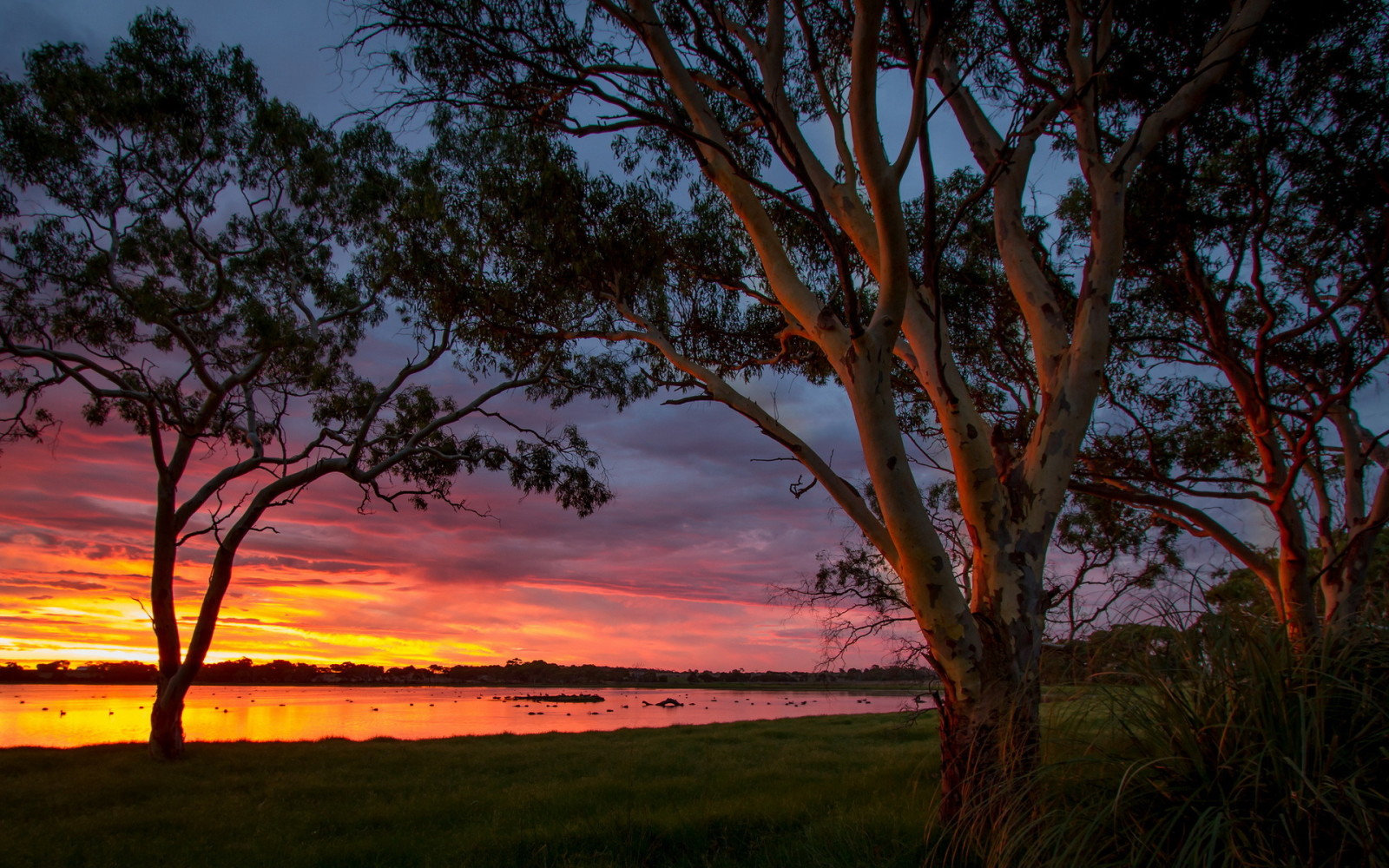 日没, オーストラリア, 大きな沼