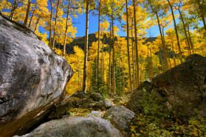 秋, 森林, 木立, 山, 岩, 石, 空, 木