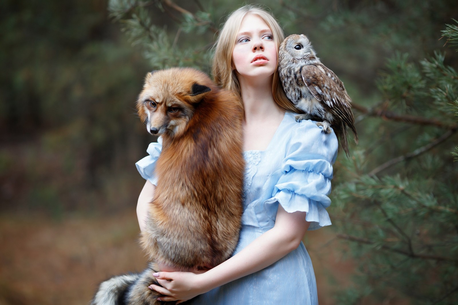 女孩, 红色, 狐狸, 猫头鹰, 朋友们, 鸟, 朱莉娅·科瓦尔斯卡（Julia Kowalska）