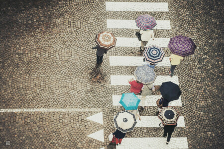 横断歩道, 人, 通り, 傘, 歩く