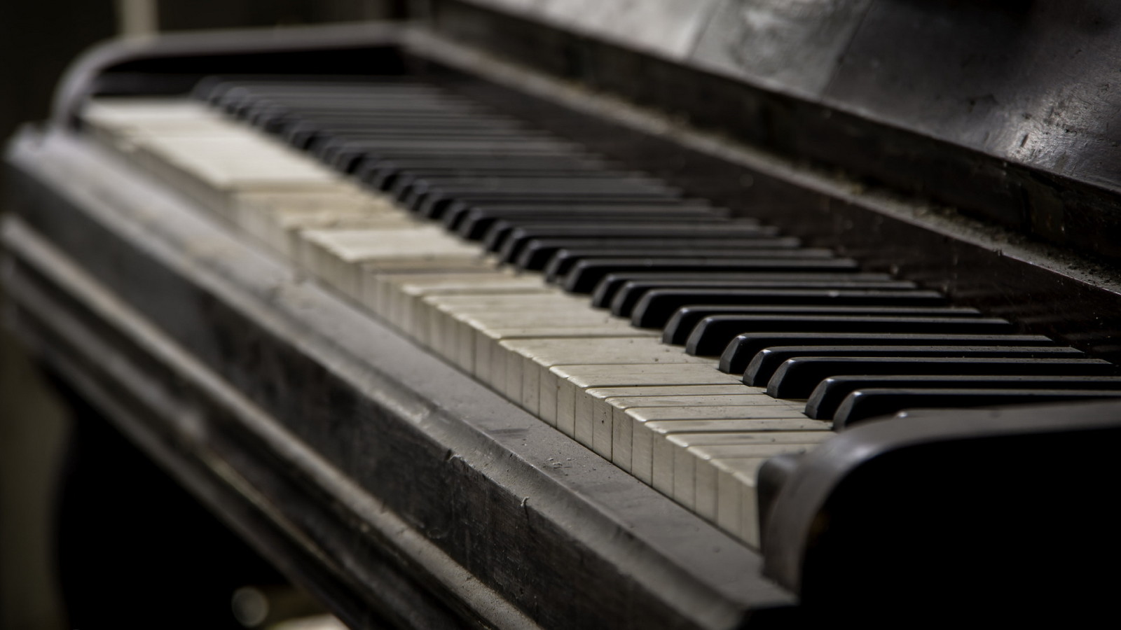 lý lịch, Âm nhạc, đàn piano